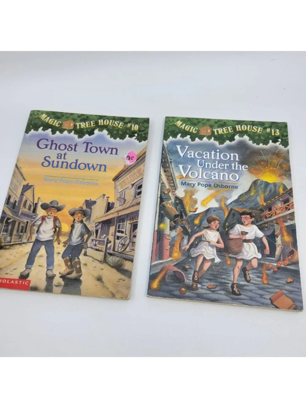 MAGIC TREE HOUSE Lot of 14 Chapter Books by Mary Pope Osborne